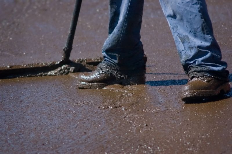 Expert Recommendations